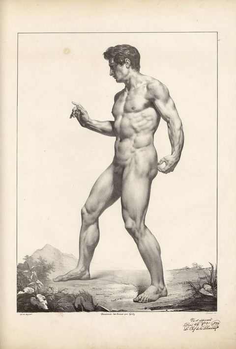 Illustration. A clean shaven, nude man with pale skin and dark hair stands facing our left in profile. His feet are widely planted so his right foot is in front of his left. His left arm is by that buttock and his other hand is raised, palm out and index finger lifted. His well-defined muscles are shaded in detail. A distant landscape lines the ground at his feet.