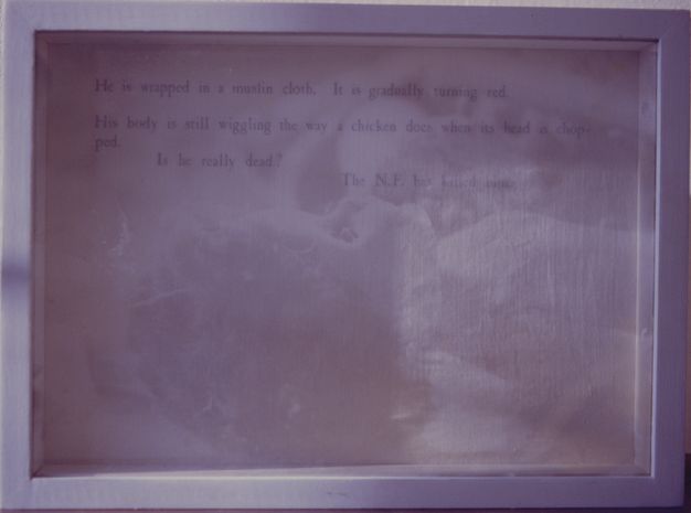 Mixed media. The shadowy, ethereal form of a doll is printed in tones of mauve and fig purple. Text in deep purple across the top of the photograph reads, “He is wrapped in a muslin cloth. It is gradually turning red. His body is still wiggling the way a chicken does when its head is chopped. Is he really dead? The N.F. has killed him”.